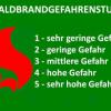Jugendliche entfachen Lagerfeuer mitten im Wald